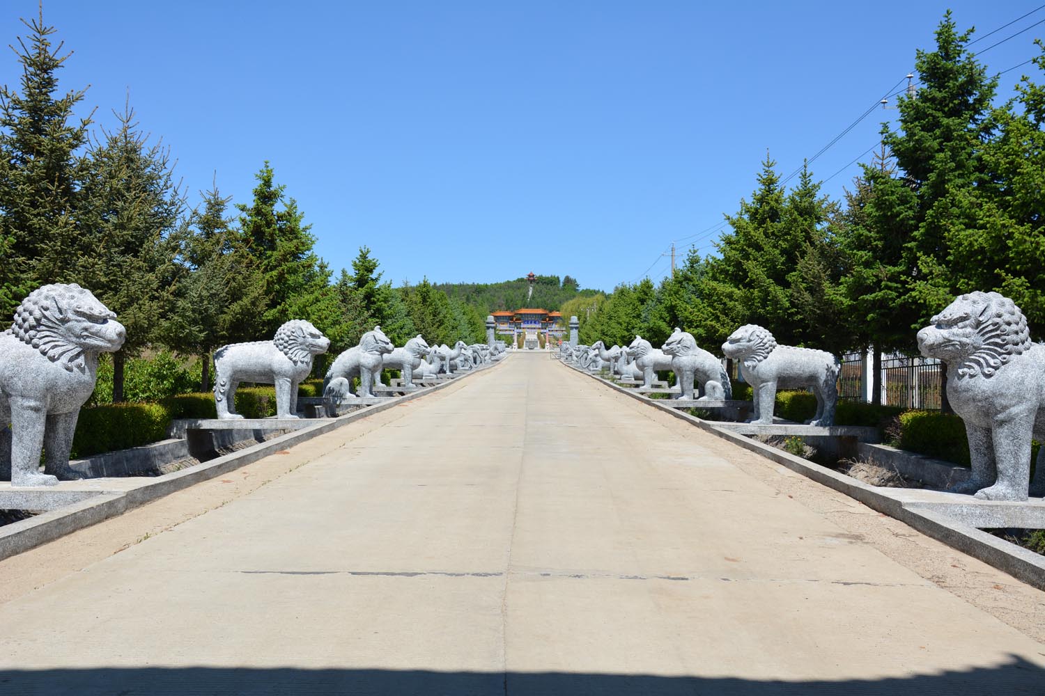 什么是殯葬？